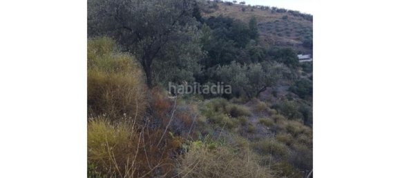 25000m² Land in Alcaucin, Spain No. 144826 10