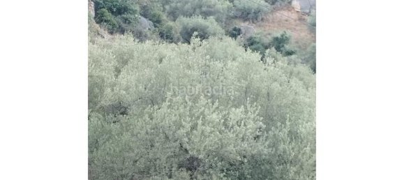 25000m² Land in Alcaucin, Spain No. 144826 6