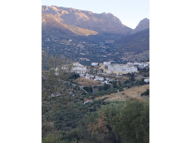 25000m² Land in Alcaucin, Spain No. 144826