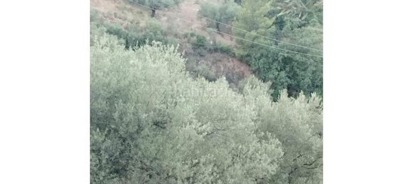 25000m² Land in Alcaucin, Spain No. 144826 8