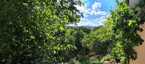 Grundstück in Wartburgkreis, Germany 2300m², Nr. 309417 8