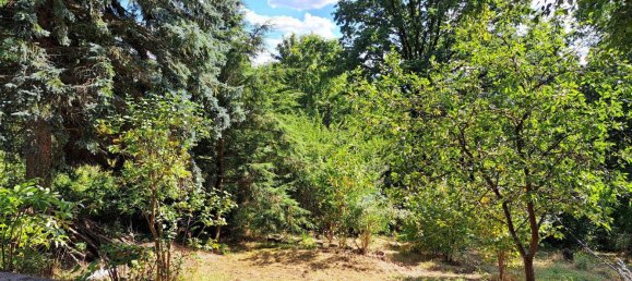 Grundstück in Wartburgkreis, Germany 2300m², Nr. 309417 2