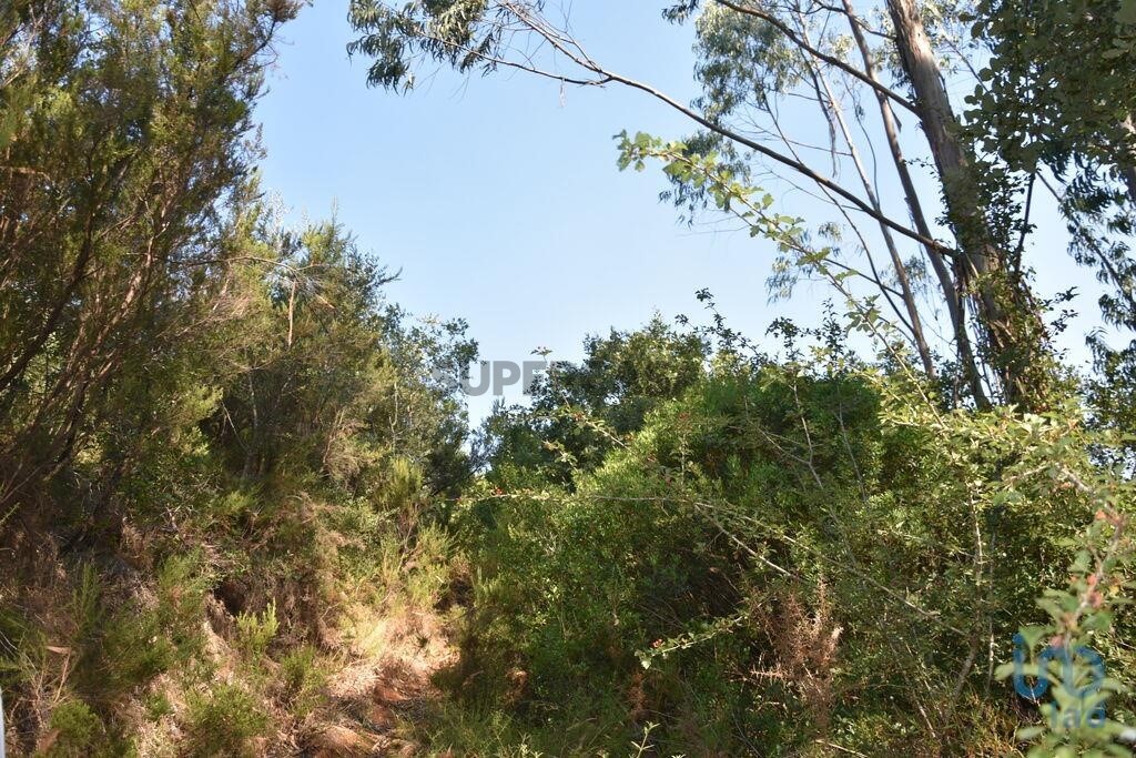 Земельный участок 8600м² в Феррейра ду Зезери, Португалия № 213213