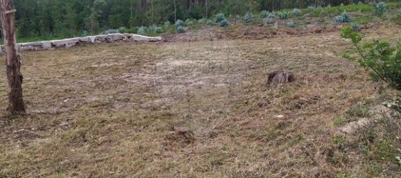 Grundstück in Mortagua, Portugal 978m², Nr. 44172 7