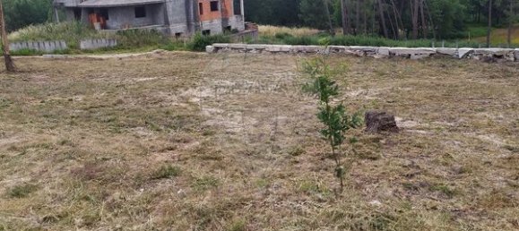 Grundstück in Mortagua, Portugal 978m², Nr. 44172 3