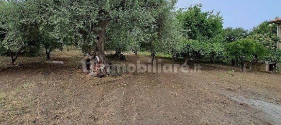 6 Schlafzimmer Villa in Lascari, Italy, Nr. 285463 14