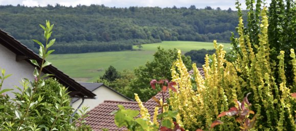 4 chambres Maison à Wetteraukreis, Germany No. 242265 19