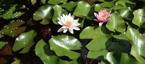 4 chambres Maison à Wetteraukreis, Germany No. 242265 23