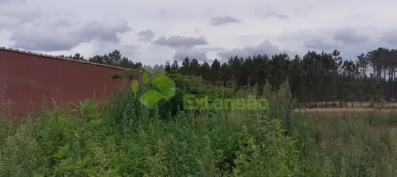 7 chambres Maison à Leiria, Portugal No. 152698 14