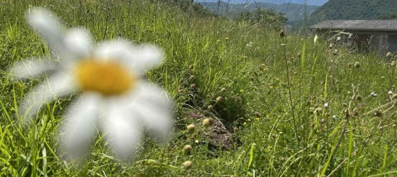 10 rooms House in Fivizzano, Italy No. 261557 9