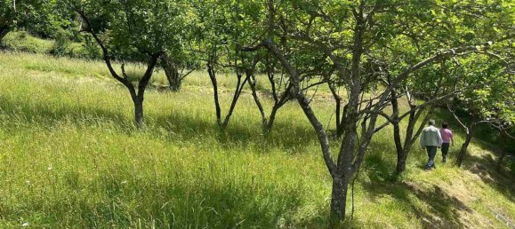 10 rooms House in Fivizzano, Italy No. 261557 7