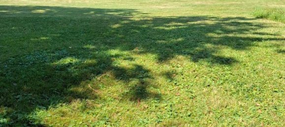 2 Schlafzimmer Haus in Gijon, Spain, Nr. 167275 42