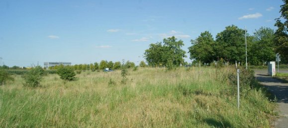 Terrain à Saalekreis, Germany No. 70541 2