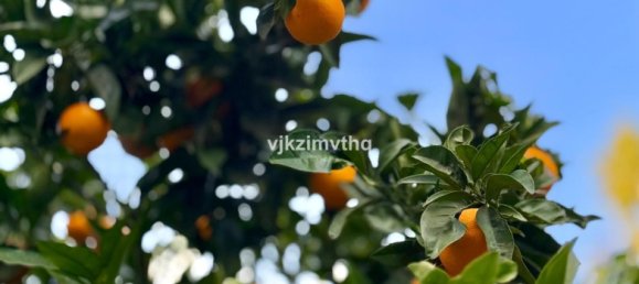 6 Schlafzimmer Villa in Benalmadena, Spain, Nr. 146732 26