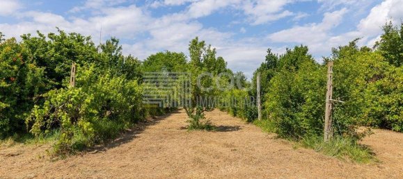 5 bedrooms House in Conselice, Italy No. 295560 9