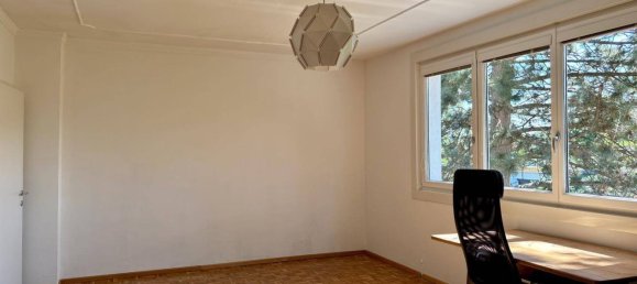 4-salle Appartement à Maria Enzersdorf, Austria No. 256064 4