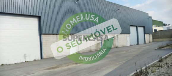 Lagerhaus in Palhaca, Portugal 2700m², Nr. 161733 4