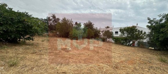 8 غرف نوم منزل في Olhao, Portugal رقم 216593 3