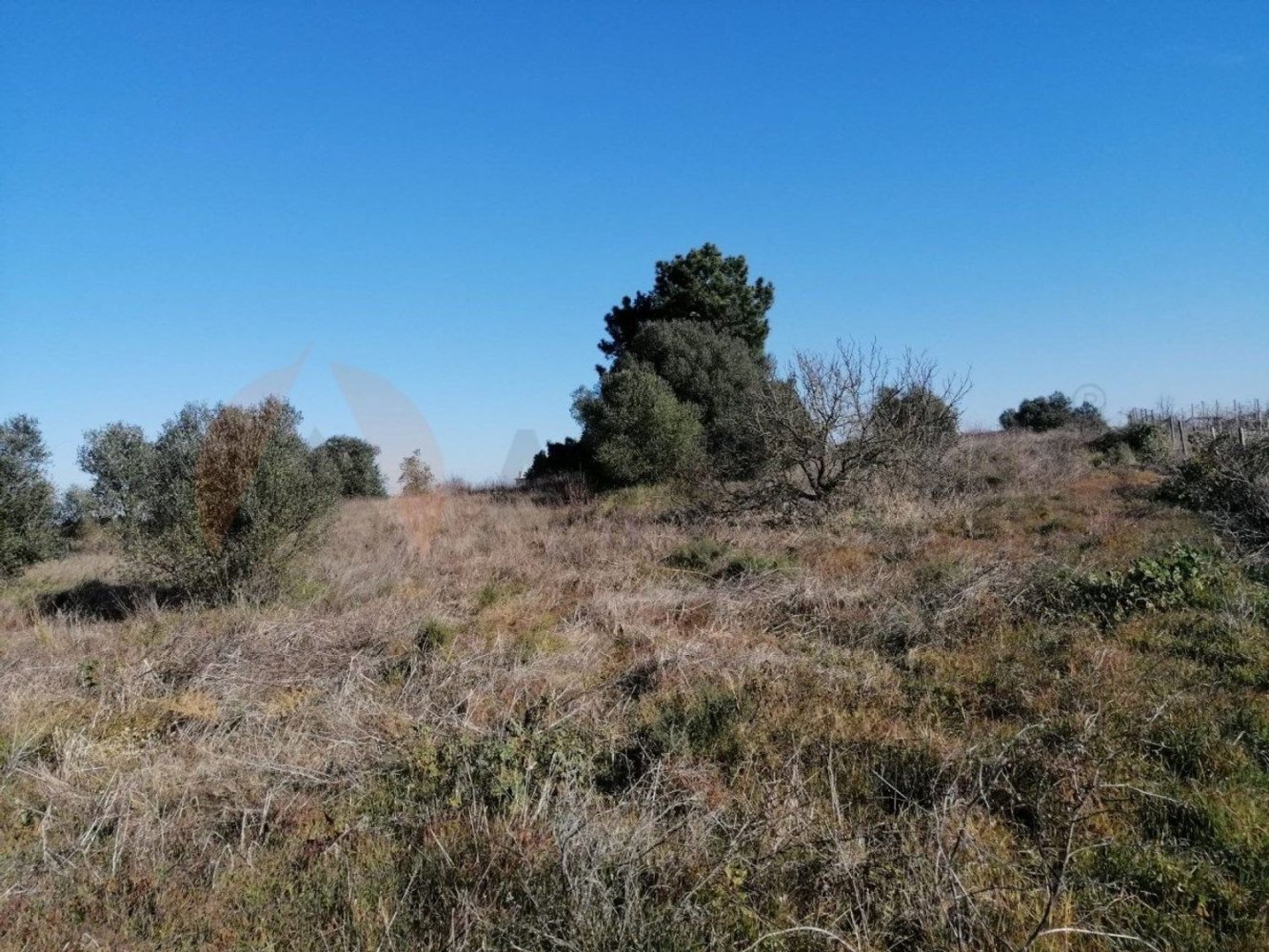 15000m² Land in Palmela, Portugal No. 95876