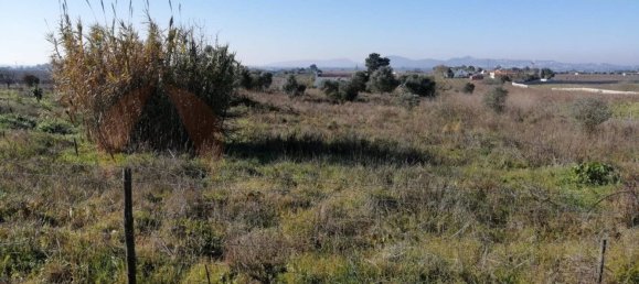 15000m² Land in Palmela, Portugal No. 95876 4