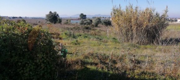 15000m² Land in Palmela, Portugal No. 95876 2
