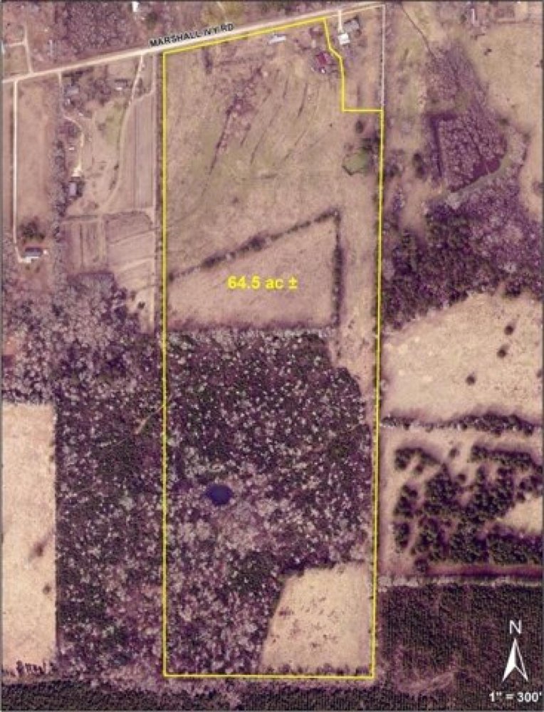 Grundstück in Huntington, USA, Nr. 544964