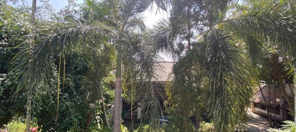 1 bedroom House in Chiang Mai, Thailand No. 27201 21