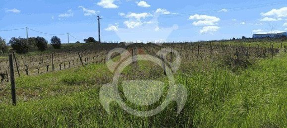 قطعة أرض في Reguengos de Monsaraz, Portugal 1152متر مربع رقم 10191 10