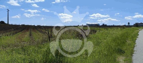 قطعة أرض في Reguengos de Monsaraz, Portugal 1152متر مربع رقم 10191 9