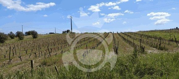 قطعة أرض في Reguengos de Monsaraz, Portugal 1152متر مربع رقم 10191 11