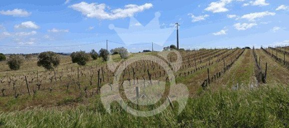 قطعة أرض في Reguengos de Monsaraz, Portugal 1152متر مربع رقم 10191 12