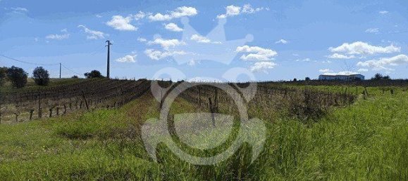 قطعة أرض في Reguengos de Monsaraz, Portugal 1152متر مربع رقم 10191 8