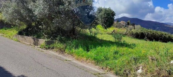 Grundstück in San Marco Argentano, Italy 3550m², Nr. 115383 13