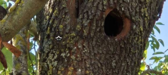 800m² Building in Fermignano, Italy No. 381641 18