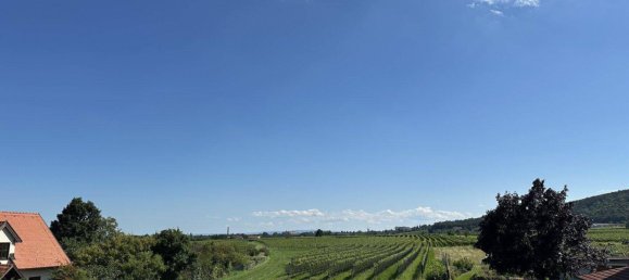 7 rooms House in Sooss, Austria No. 219138 12