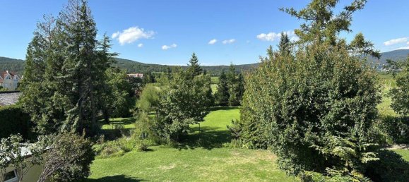 7 rooms House in Sooss, Austria No. 219138 13