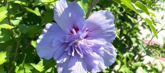 Duplex de 4 divisões em Zell am See, Austria N.º 231079 22