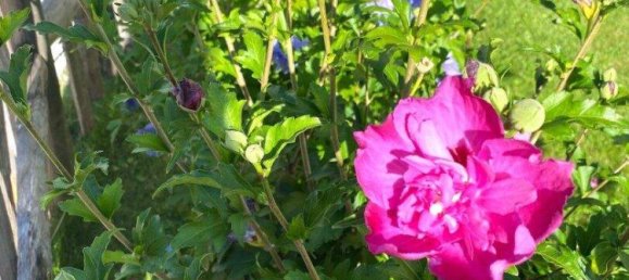 Duplex de 4 divisões em Zell am See, Austria N.º 231079 21