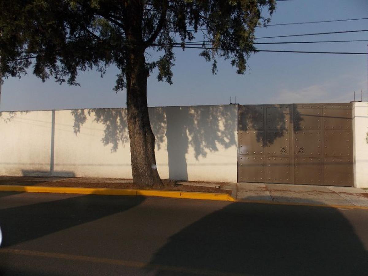  قطعة أرض في Mexico رقم 206751