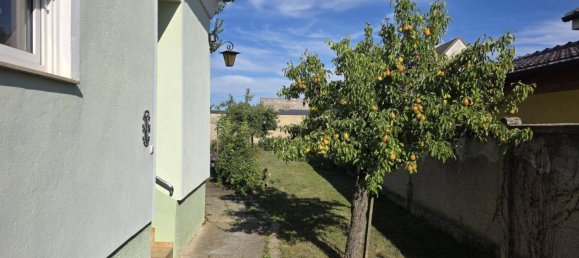 Casa de 5 habitaciónes en Hohenau an der March, Austria No. 226455 4