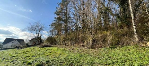 1014m² Land in Lons-le-Saunier, France No. 227003 9