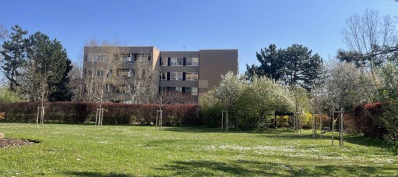 4 rooms Apartment in Baden, Austria No. 210963 11