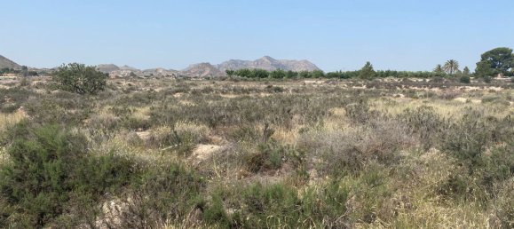  قطعة أرض في Alicante, Spain رقم 156663 39