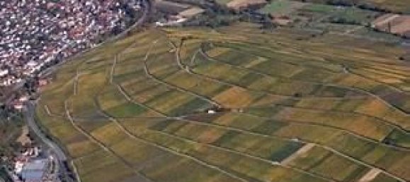 Adosado de 3 dormitorios en Breisgau-Hochschwarzwald, Germany No. 332879 9