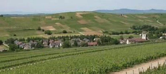 Adosado de 3 dormitorios en Breisgau-Hochschwarzwald, Germany No. 332879 8