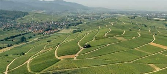 Adosado de 3 dormitorios en Breisgau-Hochschwarzwald, Germany No. 332879 11