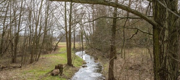 4 rooms Townhouse in Markisch-Oderland, Germany No. 86769 13