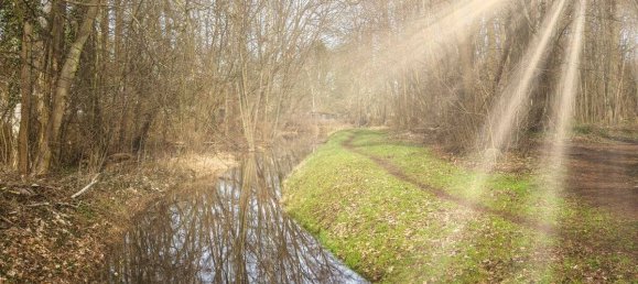 4 rooms Townhouse in Markisch-Oderland, Germany No. 86769 12