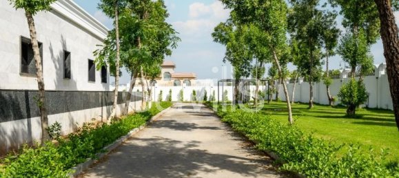 32227.1m² Land in Al Rashidiya, UAE No. 13622 29