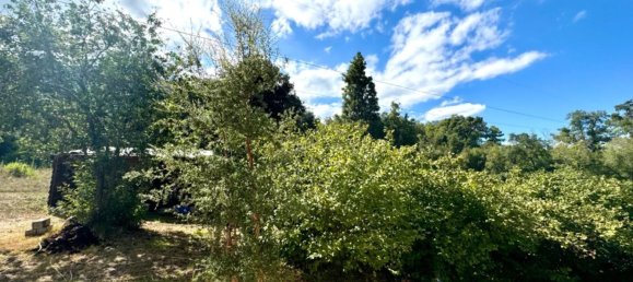 2 bedrooms Villa in Santa-Maria-Poggio, France No. 158524 15